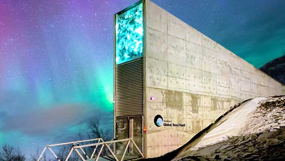 stainless-steel-global-seed-vault-in-svalbardstainless-steel-global-seed-vault-in-svalbard